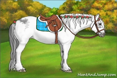 Horse Color:White Spotted Blue Roan Splash Frame