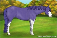 Horse Color:Watercolor Blue Roan Sabino 