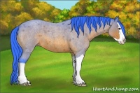Horse Color:Watercolor Bay Roan Splash 