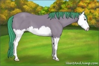 Horse Color:Watercolor Bay Splash 