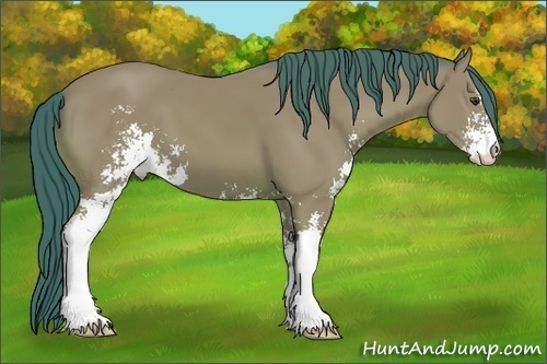 Horse Color: Watercolor Bay Sabino 