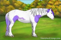 Horse Color:Watercolor Brown Splash Tobiano 