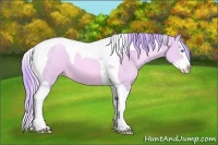 Horse Color:Watercolor Buckskin Roan Pearl Splash Tobiano 