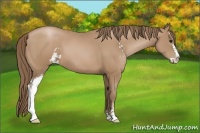 Horse Color:Black Pearl Sabino 