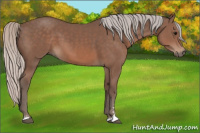 Horse Color:Silver Black Sabino 