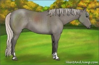 Horse Color:Silver Black Sabino 