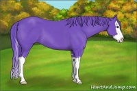 Horse Color:Watercolor Black Sabino Splash 
