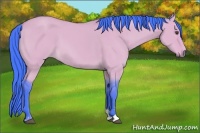 Horse Color:Watercolor Buckskin Dun Sabino 
