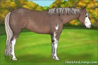 Horse Color:Silver Black Sabino 