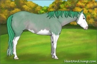 Horse Color:Watercolor Bay Roan Sabino Splash 