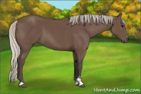 Horse Color:Silver Black Sabino 