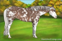 Horse Color:Silver Black Sabino 