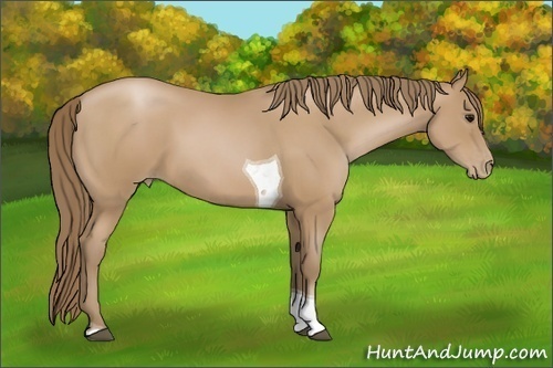 Horse Color: Black Pearl Tobiano 
