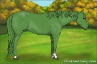 Horse Color:Watercolor Smoky Black Sabino 