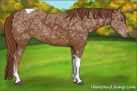 Horse Color:Chestnut Ice Sabino Tobiano 