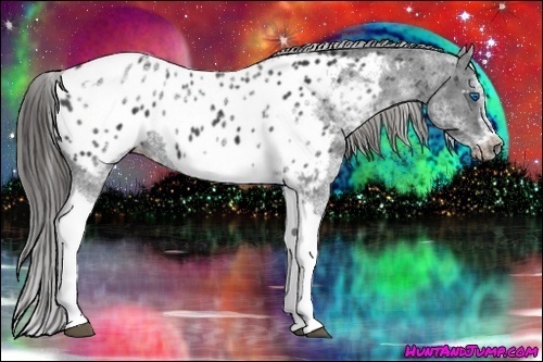 Horse Color: White Spotted Black Splash Tobiano Frame Blanket 