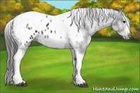 Horse Color:White Spotted Black Splash Tobiano Frame Blanket 