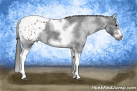 Horse Color:White Spotted Black Splash Tobiano Frame Appaloosa