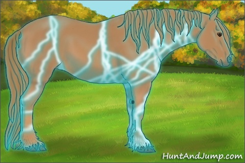 Horse Color:Thunderstruck Chestnut 