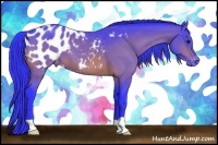 Horse Color:Watercolor Bay Appaloosa 