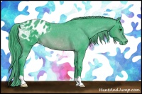 Horse Color:Watercolor Brown Appaloosa 
