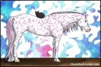 Horse Color:Watercolor Red Dun Near Leopard 
