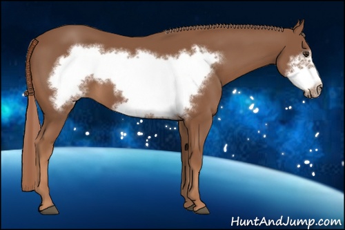 Horse Color: Chestnut Frame 