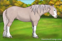 Horse Color:Watercolor Silver Classic Champagne Dun Splash 