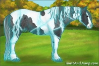 Horse Color:Thunderstruck Black Splash Tobiano Appaloosa 