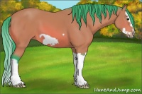 Horse Color:Watercolor Bay Splash Frame 