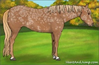 Horse Color:Chestnut Ice 