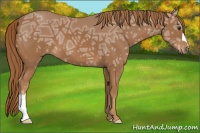 Horse Color:Chestnut Ice 