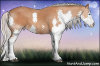 Horse Color:Silver Bay Splash 