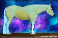 Horse Color:Watercolor Bay 