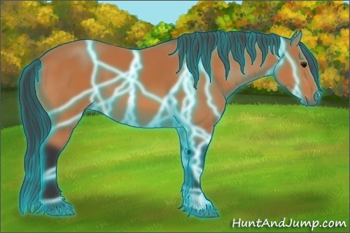 Horse Color:Thunderstruck Bay 