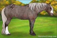 Horse Color:Silver Brown Ice Appaloosa Rabicano