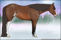 Horse Color:Bay Sabino 