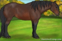Horse Color:Brown 
