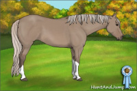 Horse Color:Silver Grullo Tobiano 
