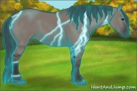 Horse Color:Thunderstruck Grullo 