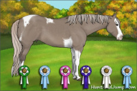 Horse Color:Silver Grullo Splash Tobiano 