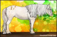 Horse Color:Palomino Varnish Rabicano 