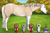 Horse Color:Red Dun Pearl Splash