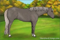 Horse Color:Silver Black 