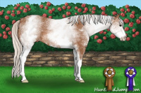 Horse Color:White Spotted Silver Bay 