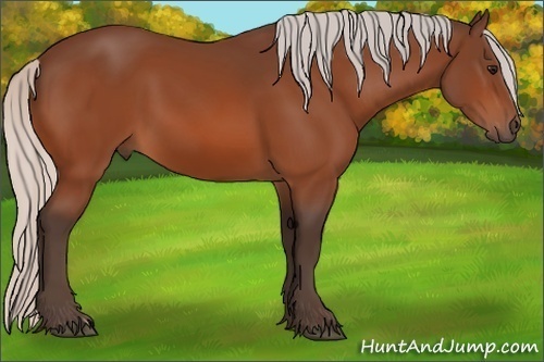 Horse Color: Silver Bay 
