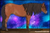 Horse Color:Bay Roan 