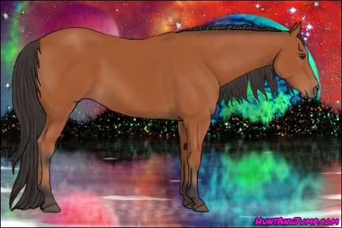 Horse Color: Bay 