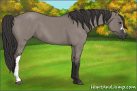 Horse Color:Smoky Grullo Roan 