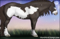 Horse Color:Liver Chestnut Frame 